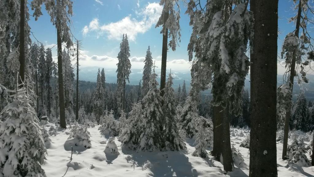Pension Schatzkisterl Zwiesel Dış mekan fotoğraf