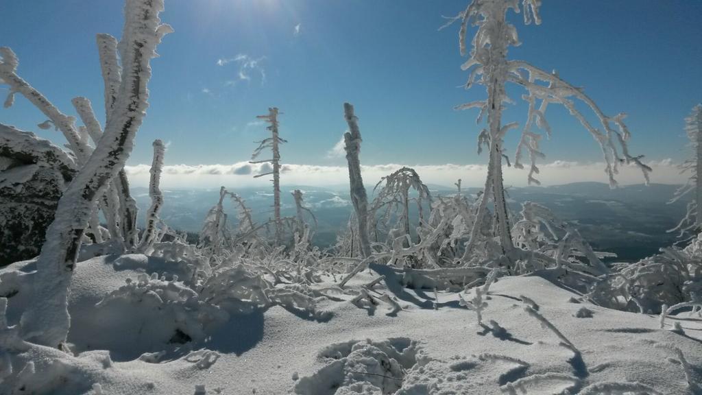 Pension Schatzkisterl Zwiesel Dış mekan fotoğraf
